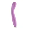 G-Spot Vibrator NS Novelties Desire Pink