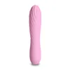 Bullet Vibrator NS Novelties Desire Pink