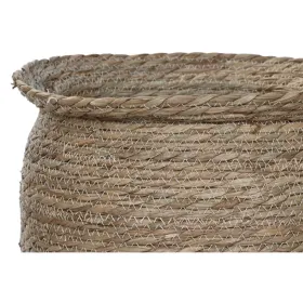 Kasvit Home ESPRIT Ruskea Kuitu Kaupunki 70 x 70 x 58 cm (7 osaa)