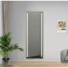 Miegamojo veidrodis Home ESPRIT Auksinis Aliuminis 60 x 5 x 165 cm