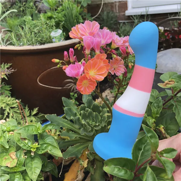 Dildo Blush Avant Multicolour