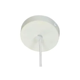 Cock Ring Blush Play with me Multicolour