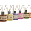 Ilmanraikastin Home ESPRIT Mandala 100 ml (6 osaa)