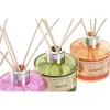 Oro gaiviklis Home ESPRIT Mandala 100 ml (6 vnt.)