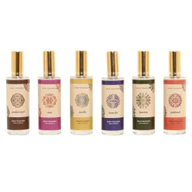 Ilmanraikastin Home ESPRIT 100 ml (6 osaa)