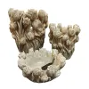 Vāze Home ESPRIT Pelēks Cements Tulpe 29 x 27 x 32 cm