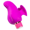 Bullet Vibrator Blush Aria Erotic Purple