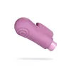 Bullet Vibrator Blush Gaia Eco Delight Purple