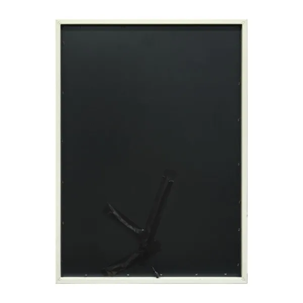 Glezna ar LED Home ESPRIT Moderns dzīvnieki 53 X 3,7 X 73 CM (2 gb.)