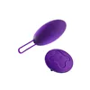 Bullet Vibrator Blush Wellness Purple