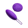 Bullet Vibrator Blush Wellness Purple