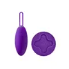 Bullet Vibrator Blush Wellness Purple