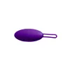 Bullet Vibrator Blush Wellness Purple