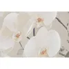 Полотно Home ESPRIT Синий Белый Восточный Кувшин 122,5 X 4,5 X 82,5 CM (2 штук)