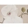 Полотно Home ESPRIT Белый Красный Восточный Кувшин 80 x 4,5 x 100 cm (2 штук)