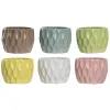 Kasvit Home ESPRIT Keltainen Valkoinen Vihreä Pinkki Dolomite Vinoneliö 12 x 12 x 10 cm (6 osaa)