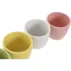 Kasvit Home ESPRIT Keltainen Sininen Valkoinen Pinkki Dolomite 12 x 12 x 10 cm (6 osaa)