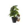 Декоративная фигура Home ESPRIT Белый Коричневый 8 x 8 x 14 cm (4 штук)