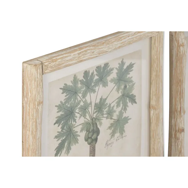 Paveikslas Home ESPRIT Stiklas Eglė 40 x 3,5 x 50 cm (2 vnt.)