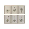 Paveikslas Home ESPRIT Stiklas Eglė 30 x 2 x 40 cm (6 vnt.)