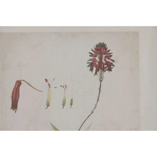 Painting Home ESPRIT Crystal Fir 30 x 2 x 40 cm (6 Units)