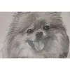 Картина Home ESPRIT Стеклянный Ель 30 x 2,5 x 40 cm (6 штук)