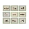 Glezna Home ESPRIT Stikls Egle 40 x 2.5 x 30 cm (9 gb.)
