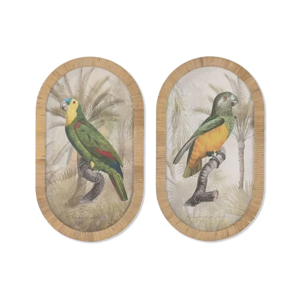 Картина Home ESPRIT Стеклянный ротанг 35 X 2,5 X 60 CM (2 штук)
