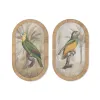 Картина Home ESPRIT Стеклянный ротанг 35 X 2,5 X 60 CM (2 штук)