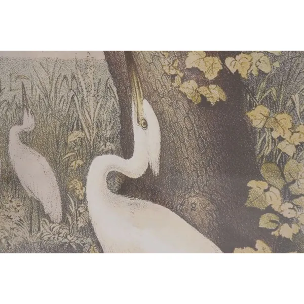 Картина Home ESPRIT Стеклянный Ель 40 X 2,5 X 55 cm (6 штук)