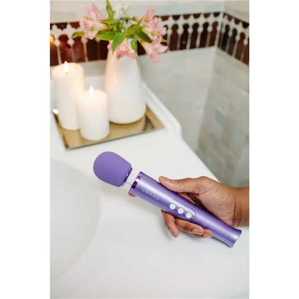 Wand Massager Petite Le Wand