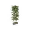 Decorative Plant Home ESPRIT Wood Bamboo Polyethylene Oriental