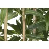 Decorative Plant Home ESPRIT Wood Bamboo Polyethylene Oriental