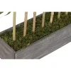 Decorative Plant Home ESPRIT Wood Bamboo Polyethylene Oriental