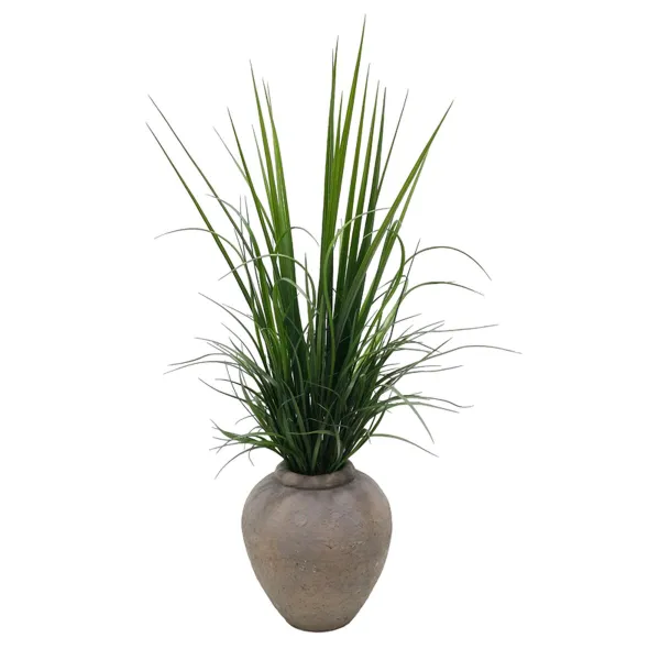 Koristekasvi Home ESPRIT Polyetyleeni