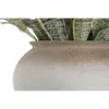 Decorative Plant Home ESPRIT Polyethylene