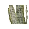 Decorative Plant Home ESPRIT Polyethylene