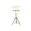 Напольный светильник Home ESPRIT Позолоченный 220 V 60 X 20 X 176 CM