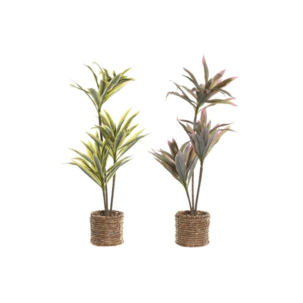 Декоративное растение Home ESPRIT полиэтилен волокно 30 x 30 x 75 cm (2 штук)
