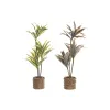Dekoratyvinis augalas Home ESPRIT Polietilenas Pluošta 30 x 30 x 75 cm (2 vnt.)