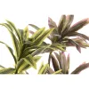 Decorative Plant Home ESPRIT Polyethylene Fibre 30 x 30 x 75 cm (2 Units)