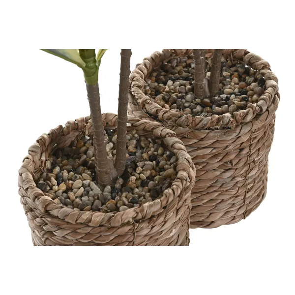 Koristekasvi Home ESPRIT Polyetyleeni Kuitu 30 x 30 x 75 cm (2 osaa)