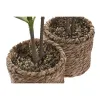 Dekoratyvinis augalas Home ESPRIT Polietilenas Pluošta 30 x 30 x 75 cm (2 vnt.)