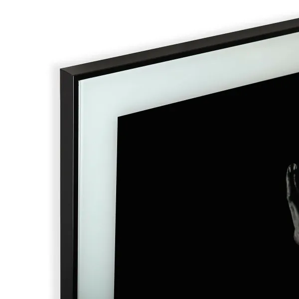 Maalaus Versa Ääriviivat Kristalli polystyreeni (60 x 2 x 80 cm)