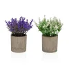 Koristekasvi Versa Rauta Teksiili Muovinen 7 x 16 cm