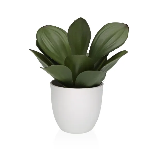 Koristekasvi Versa Rauta Teksiili Muovinen 25 x 23 cm
