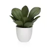 Koristekasvi Versa Rauta Teksiili Muovinen 25 x 23 cm