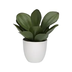 Dekoratīvs Augs Versa Dzelzs Tekstils Plastmasa 25 x 23 cm