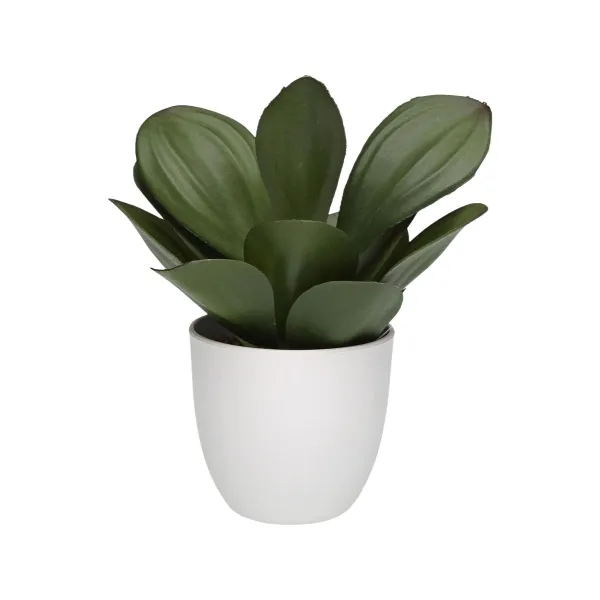 Koristekasvi Versa Rauta Teksiili Muovinen 25 x 23 cm