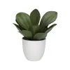 Koristekasvi Versa Rauta Teksiili Muovinen 25 x 23 cm